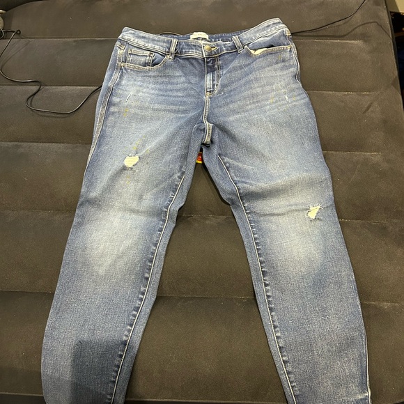 Lane Bryant Denim - Lane Bryant jeans